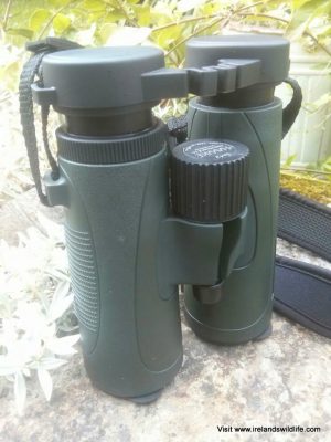 Hawke Endurance ED Binoculars