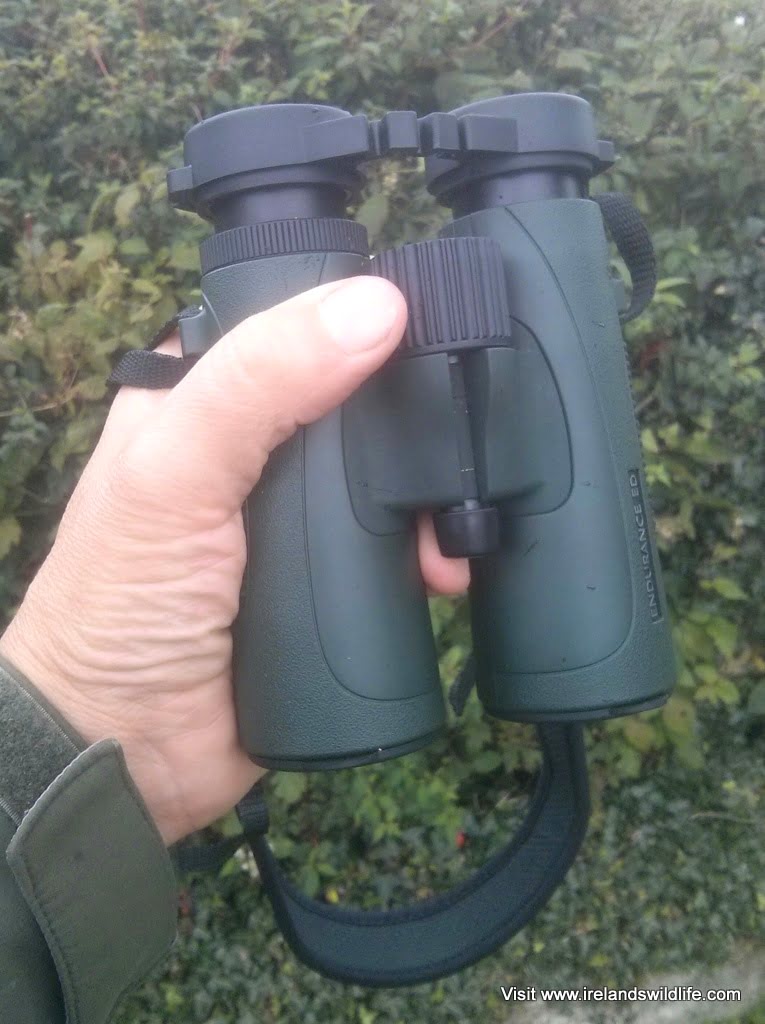 Hawke Endurance 8x42 Binocular Review | Ireland's Wildlife