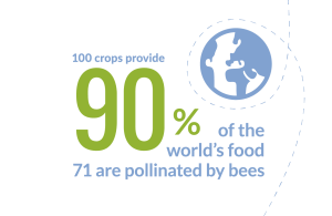 Pollinator Plan Infographics_global food