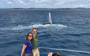 Photobombing Humpback