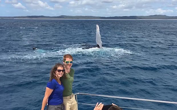 Photobombing Humpback