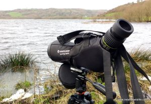 Putting the Vanguard Endeavor HD 65A Spotting Scope through its paces