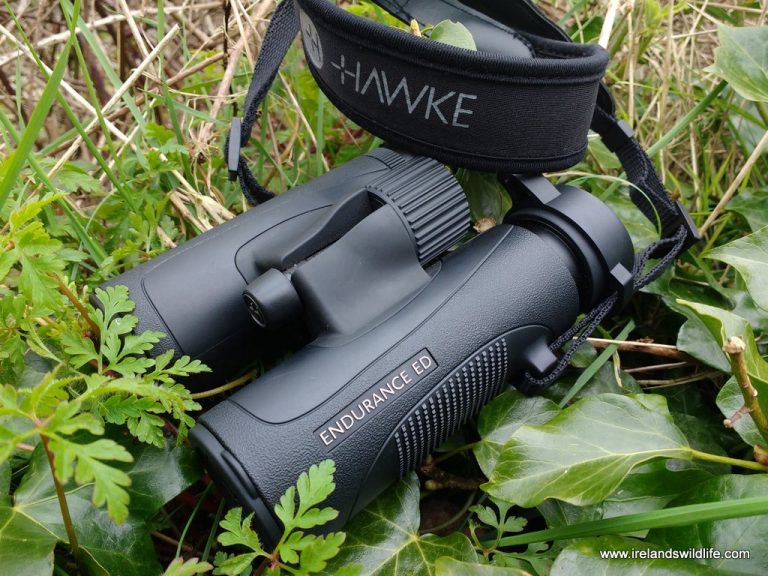 Hawke Endurance ED 8x32 Binocular Review