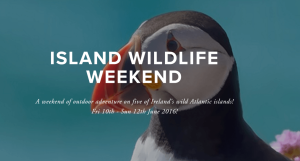 Island Bioblitz 2016