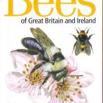 Bee field guide cover