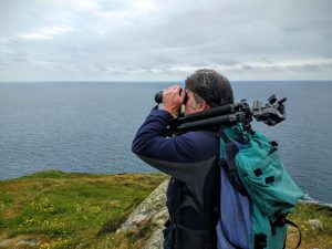 How to watch whales in Ireland