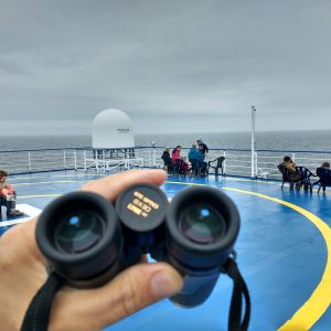 Whale Watching from Commercial Ferries