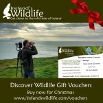 wildlife-gift-voucher Christmas
