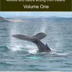 The Irish Wildlife Collection: Volume One