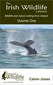 The Irish Wildlife Collection: Volume One