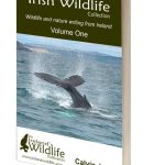 Irish Wildlife Collection Volume 1