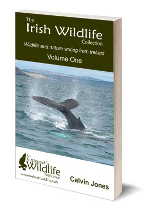 Irish Wildlife Collection Volume 1