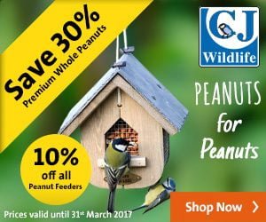 The best garden bird food for less this march