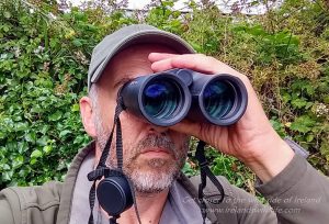Testing the Kite Caiman 8x42 binoculars