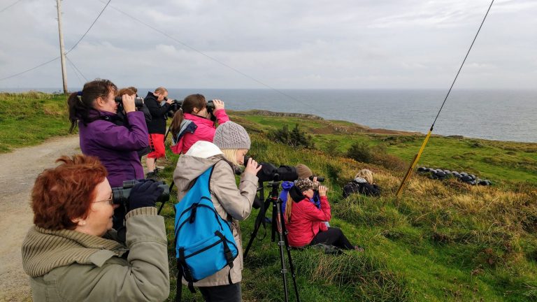 Guided wildlife watching