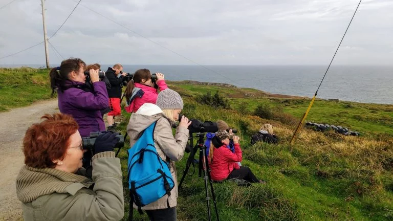 Guided wildlife watching