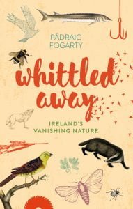 Whittled Away by Padraic Fogarty