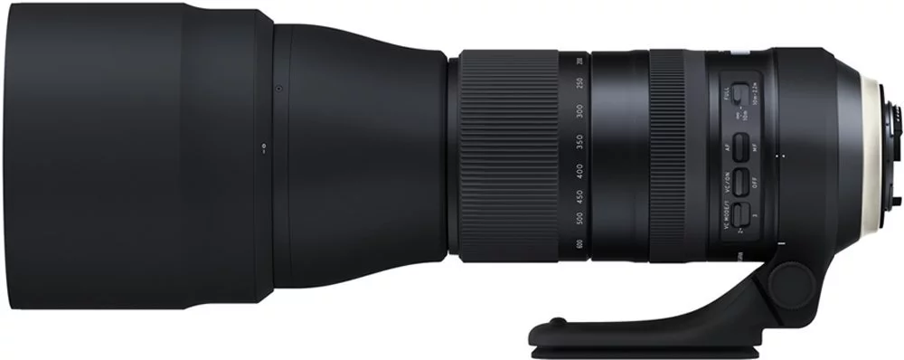 Tamron SP 150-600mm F/5-6.3 Di VC USD G2 Review | Ireland's Wildlife