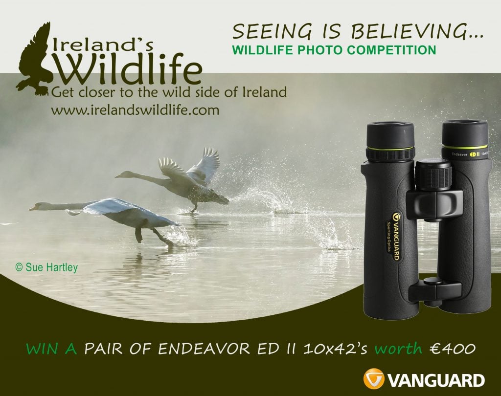 Win a pair of Vanguard Endeavor EDII Binoculars