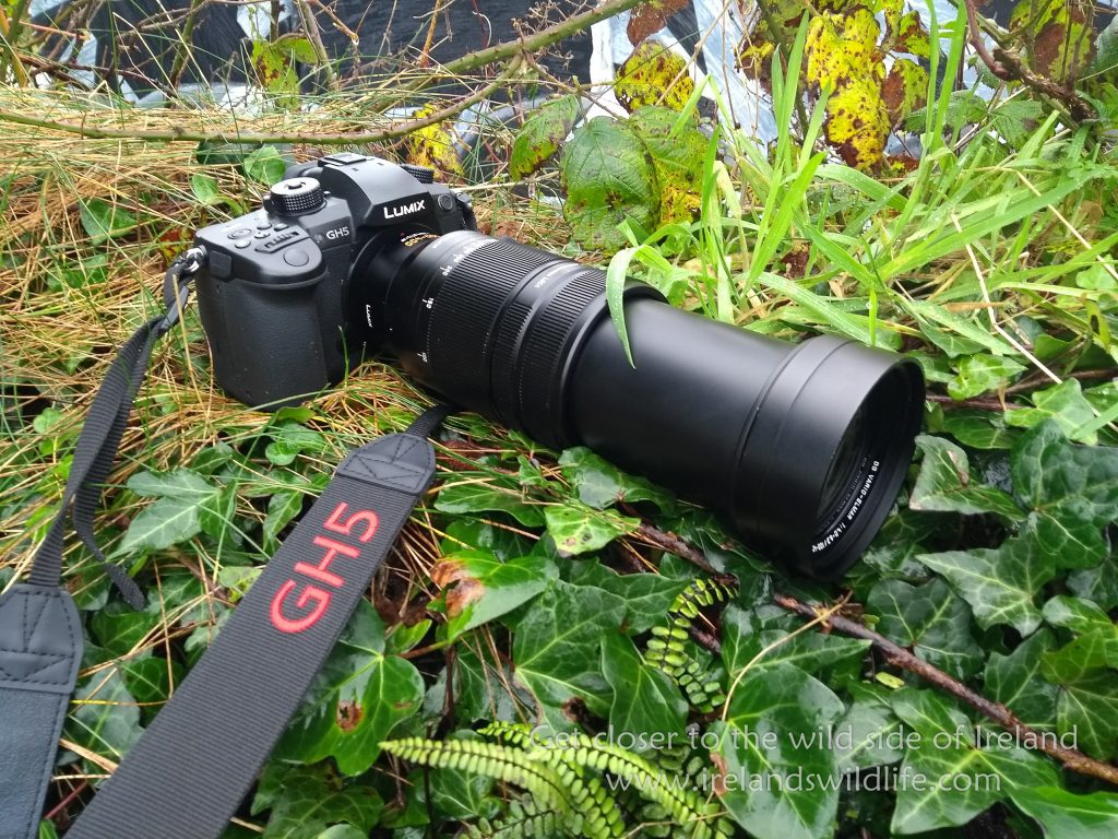 Panasonic Lumix GH5 for Wildlife Photography