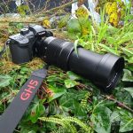 Panasonic Lumix GH5 for Wildlife Photography