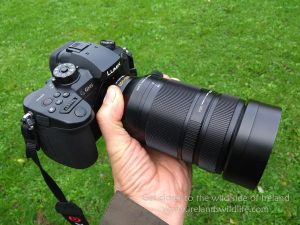 Panasonic Lumix GH5 and Leica DG Vario-Elmar 100-400mm in the hand