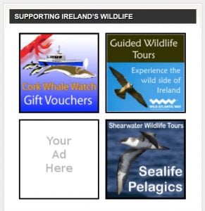 Supporting Ireland's Wildlife through advertising