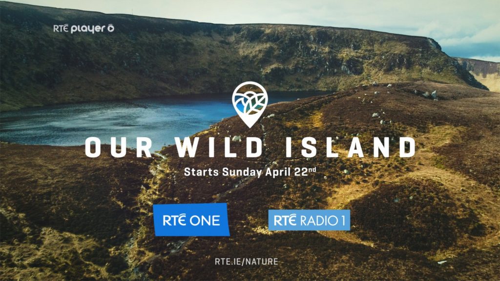 Wildlife Television and Radio Ireland