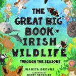 The Great Big Book of Irish Wildlife Through The Seasons by Juanita Browne
