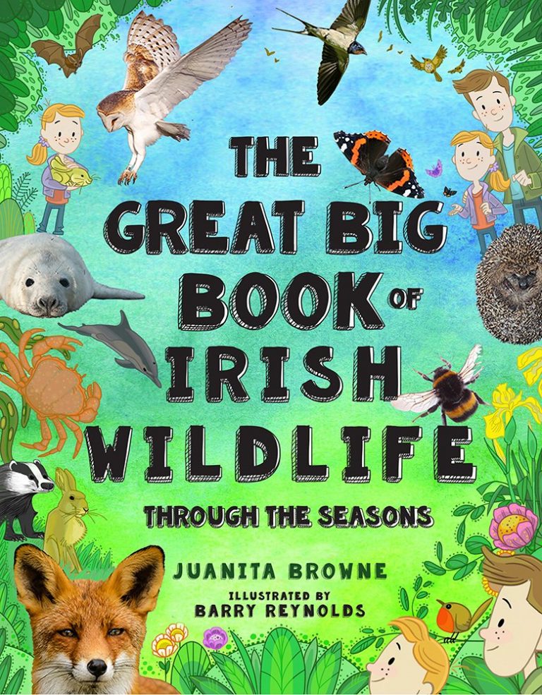 The Great Big Book of Irish Wildlife Through The Seasons by Juanita Browne