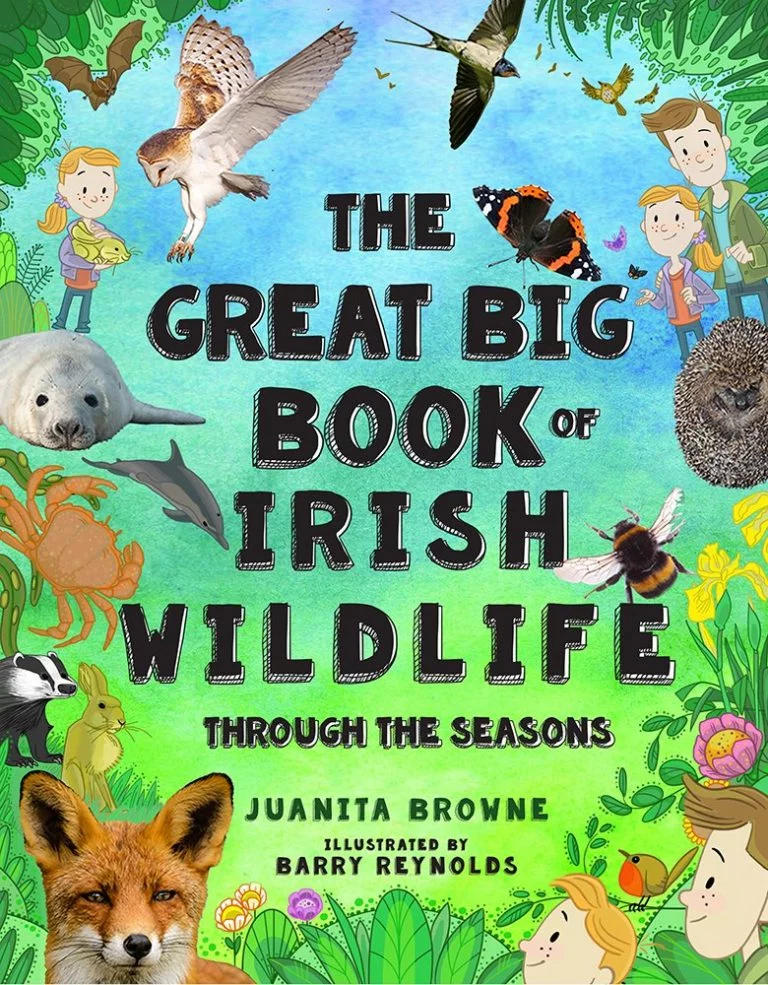 The Great Big Book of Irish Wildlife Through The Seasons by Juanita Browne