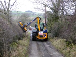 Plans for August hedge cutting shelved