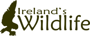 Ireland's wildlife logo.