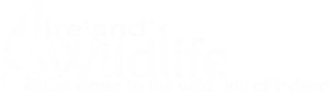 Ireland's Wildlife Logo