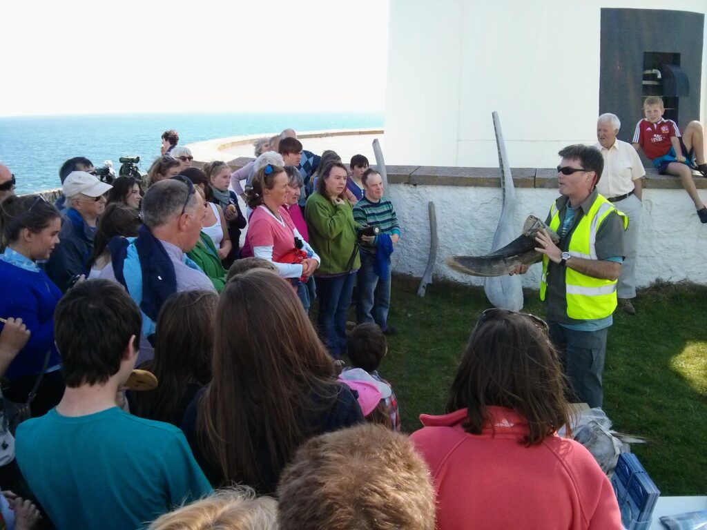Whale Watch Ireland IWDG National Whale Watching Event
