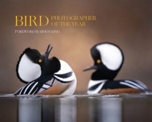 Cover Photo, Bird Photographer of the Year BPOTY 2024 Volume 9
