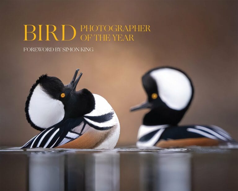 Cover Photo, Bird Photographer of the Year BPOTY 2024 Volume 9