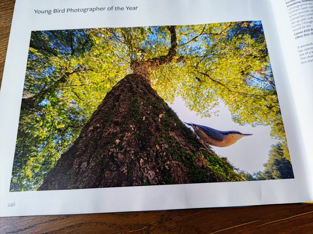 Young Bird Photographer of the Year 2024