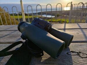 Swarovski Optic NL Pure 8x32 -- my ideal birding and wildlife binocular